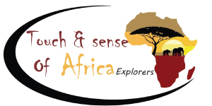 touchandsenseofafrica.co.ke